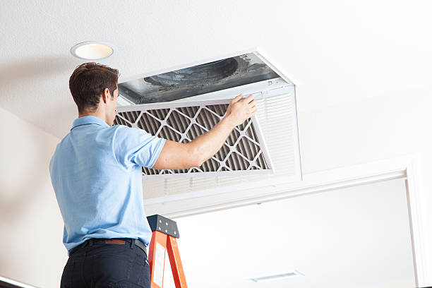 Best HVAC Repair Near Me  in Shepherd, MI